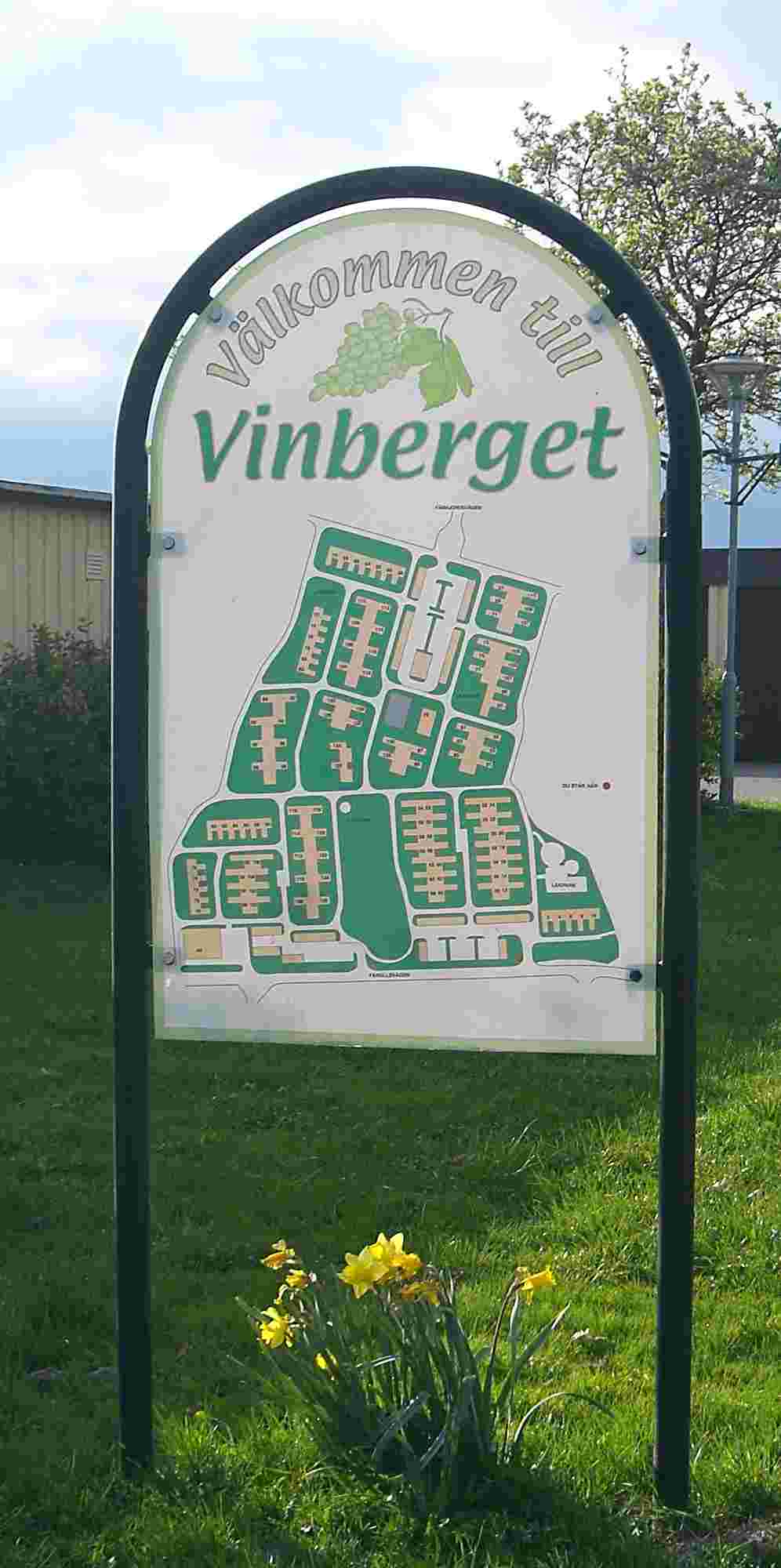 Vinberget